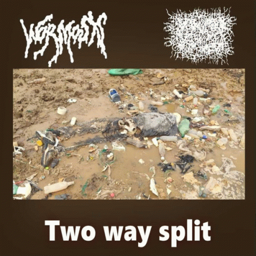 Wormosis : Wormosis - Obsessed with Decomposed Corpses